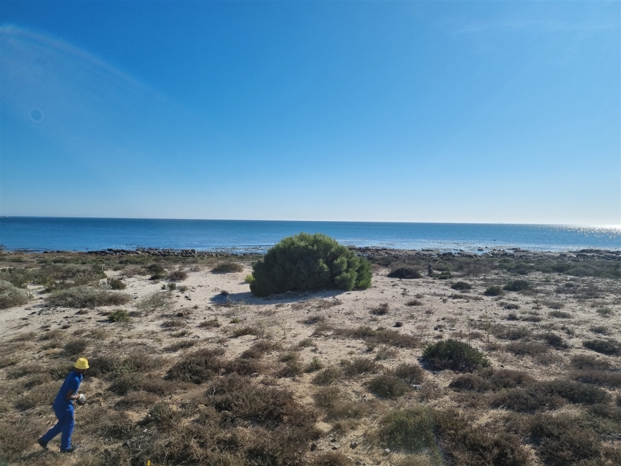 3 Bedroom Property for Sale in Sandy Point Western Cape